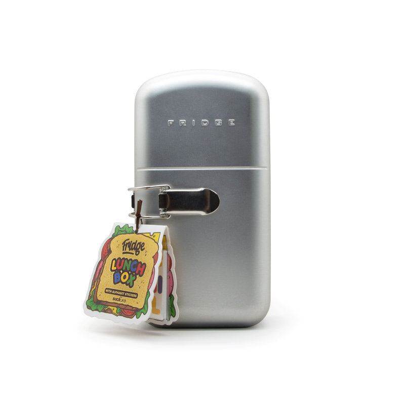 Hot Sale! Retro Vintage Fridge-Style Metal Lunch Box for Kids and Adults