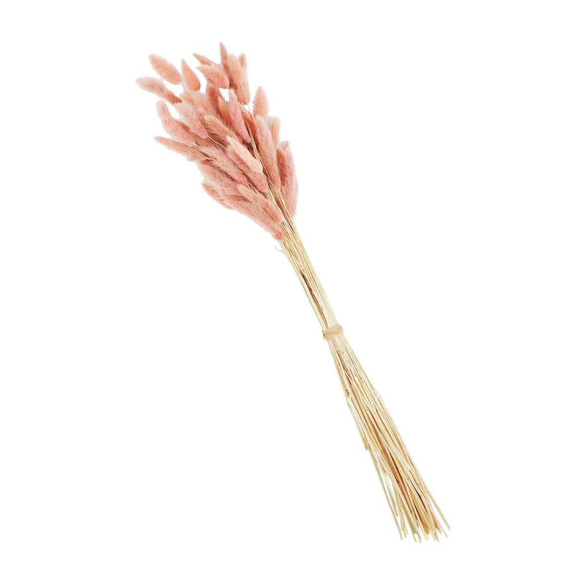 Pink Preserved Bunnytail Stem by Mud Pie for Festive Decor