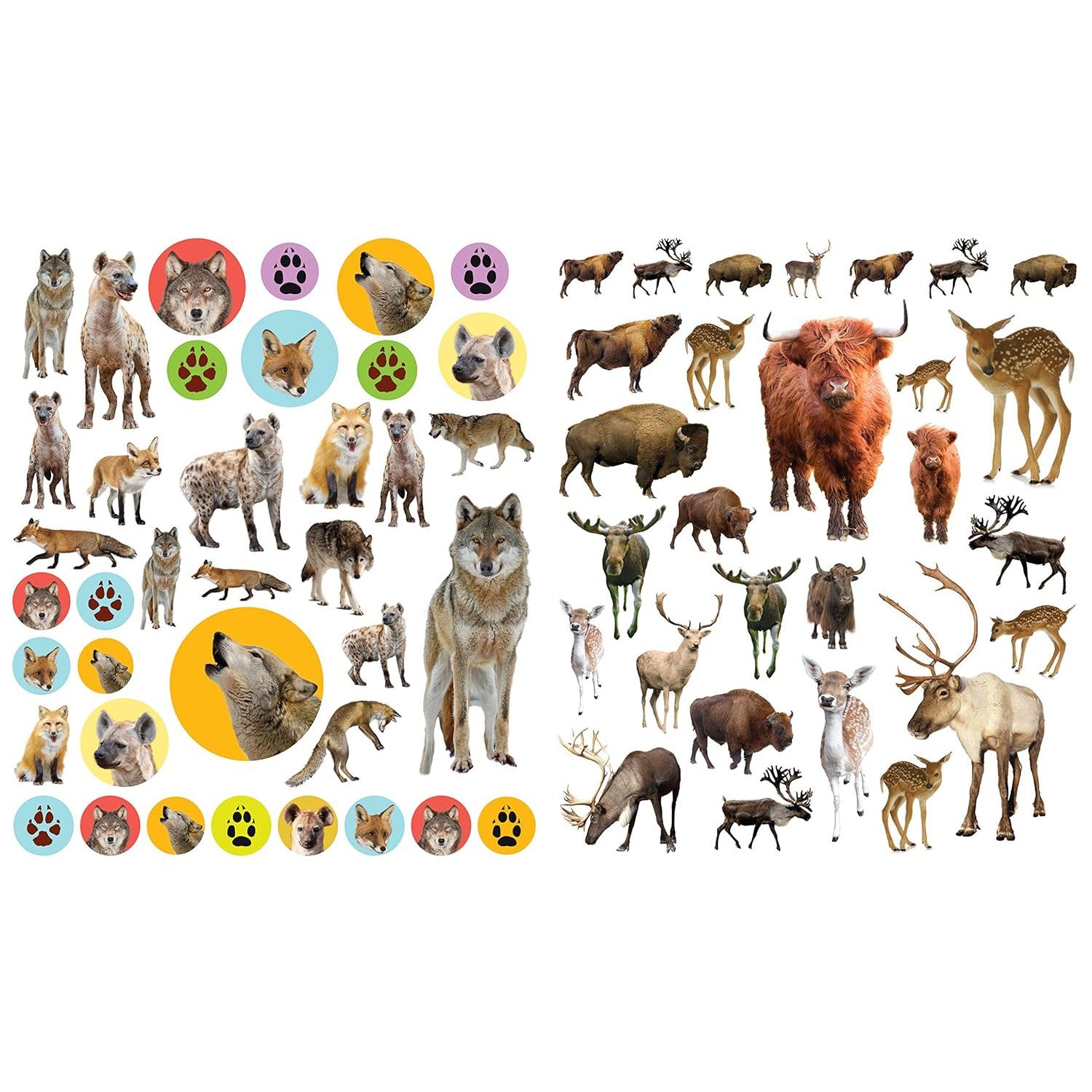 Hot Sale! EyeLike Wild Animal Sticker Paperback Book for Kids