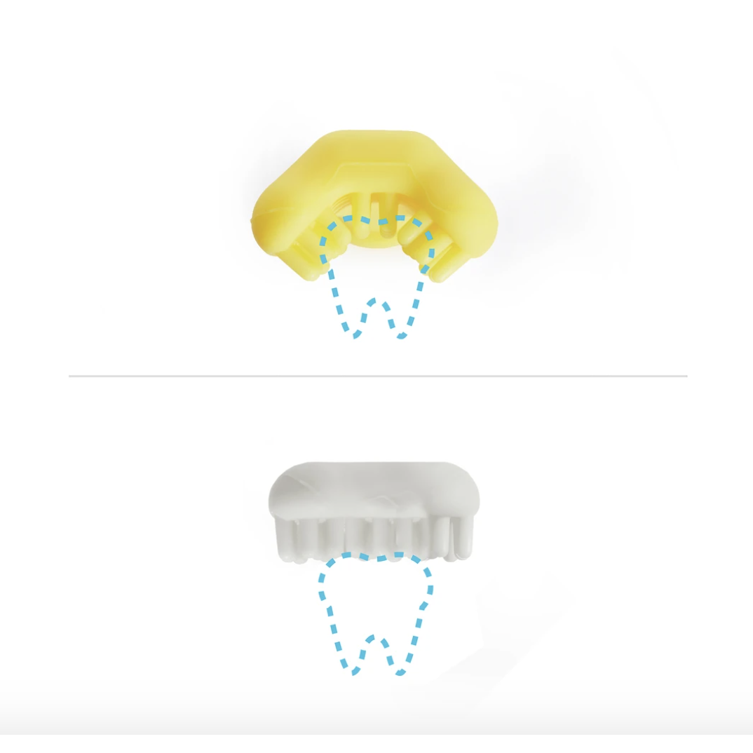 Best FridaBaby Training Toothbrush for 6 - 12 Month Old Babies