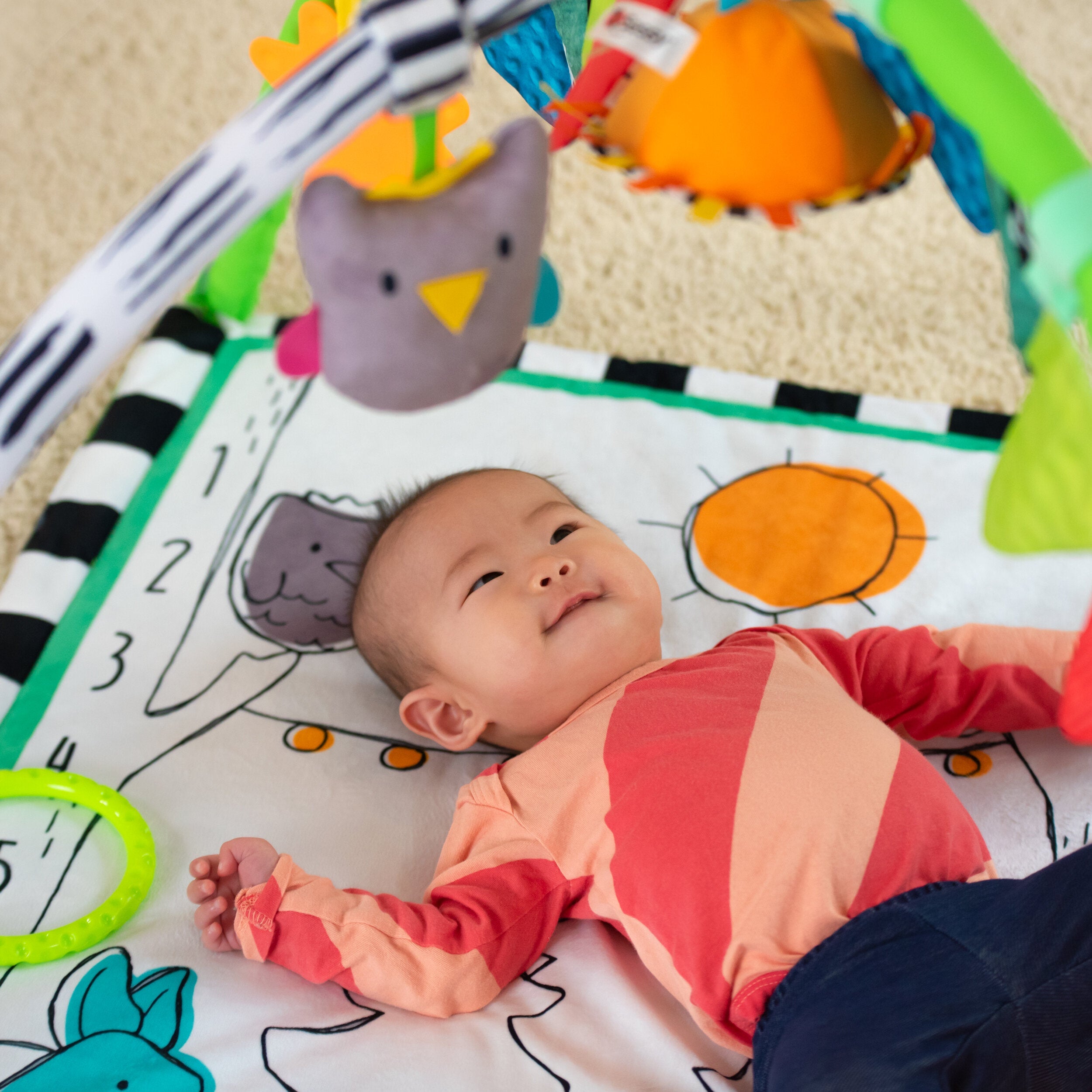 Adorable Sassy Baby's Camping-Themed Play Gym for 0+ Months