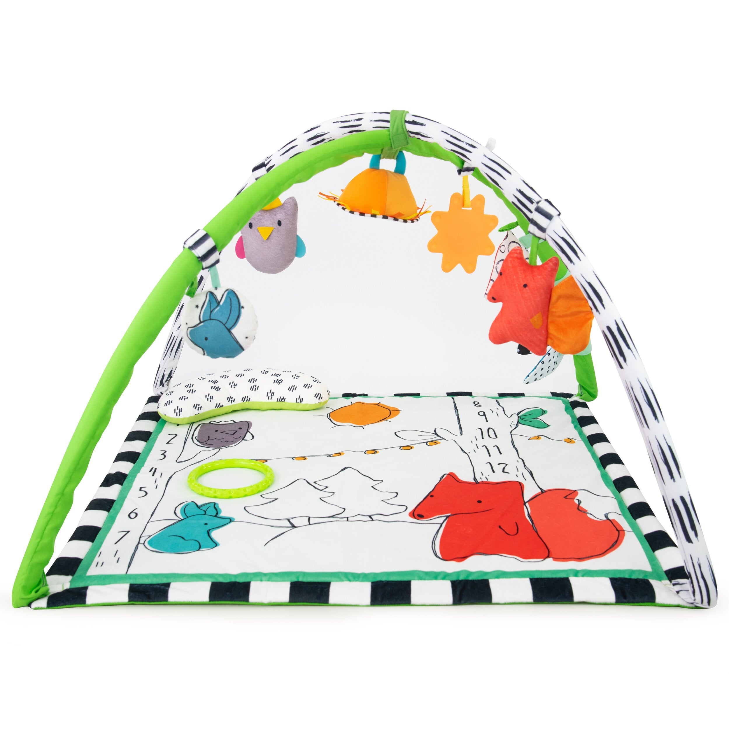 Adorable Sassy Baby's Camping-Themed Play Gym for 0+ Months