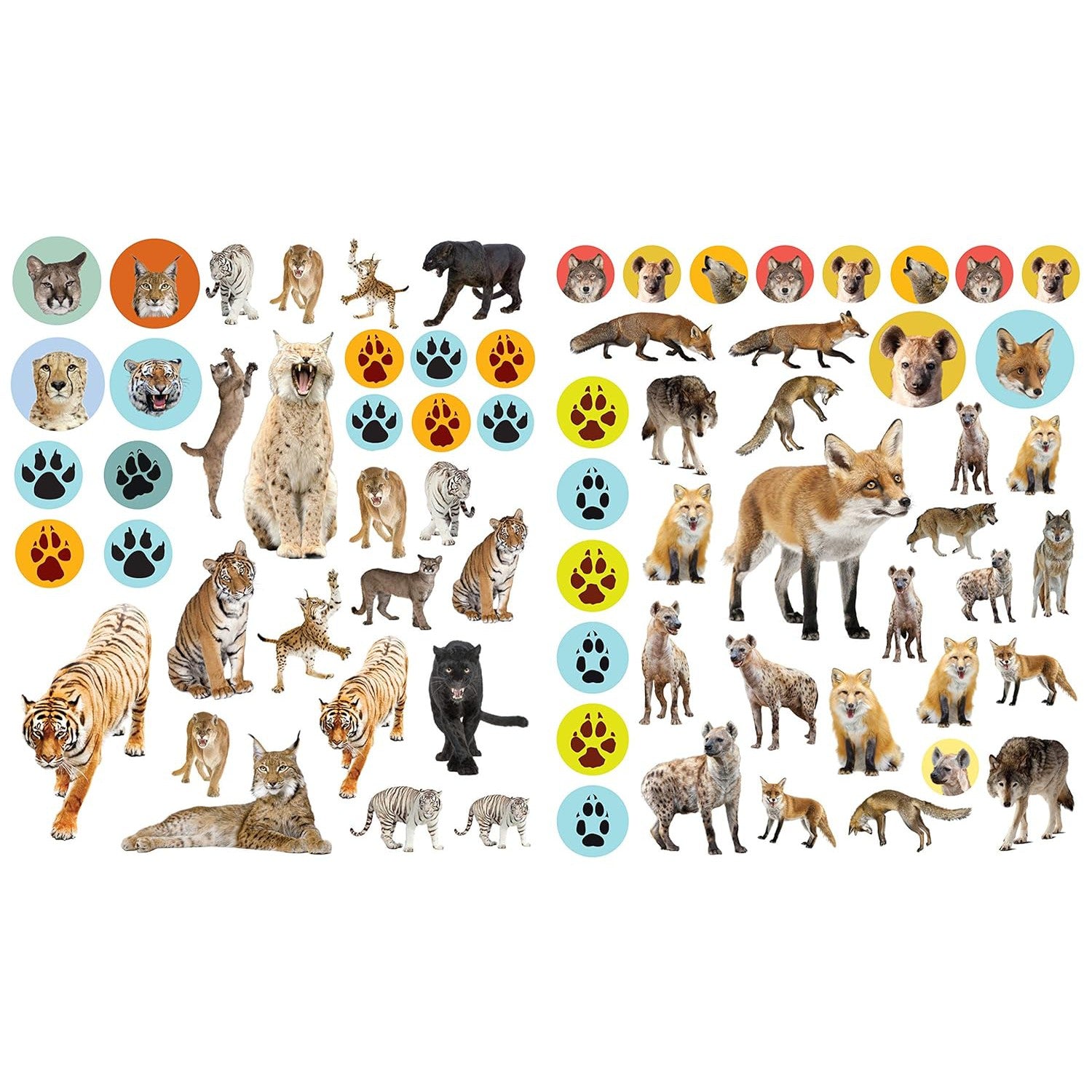Hot Sale! EyeLike Wild Animal Sticker Paperback Book for Kids