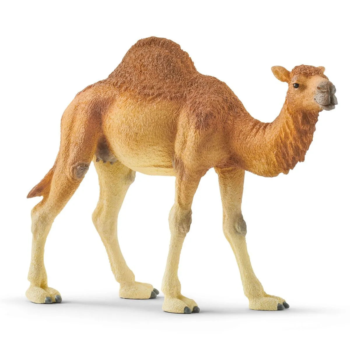 Schleich's Amazing Dromedary Toy