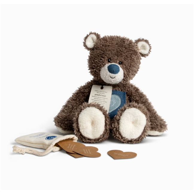 Demdaco 16-Inch Fuzzy Grateful Heart Bear - Ideal for Teaching Kids Gratitude
