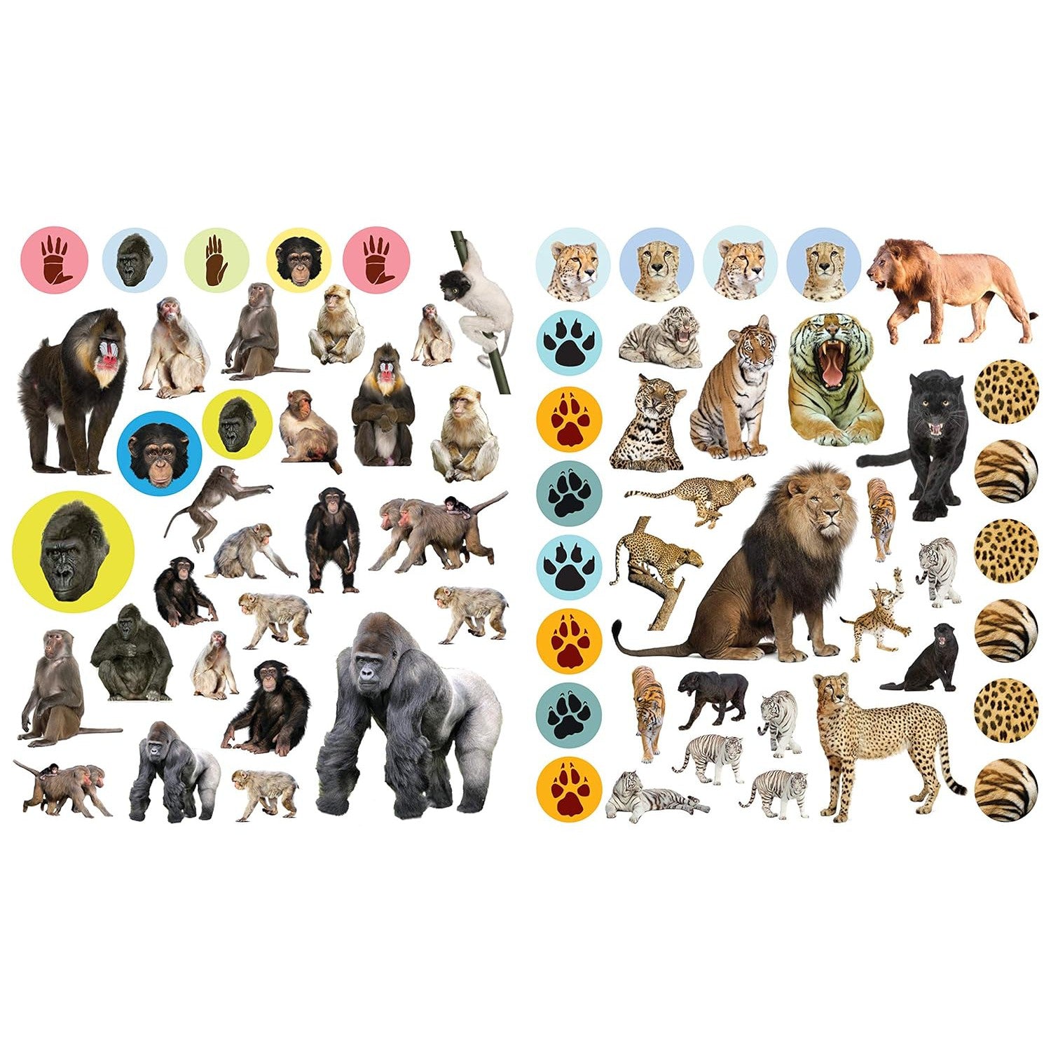 Hot Sale! EyeLike Wild Animal Sticker Paperback Book for Kids