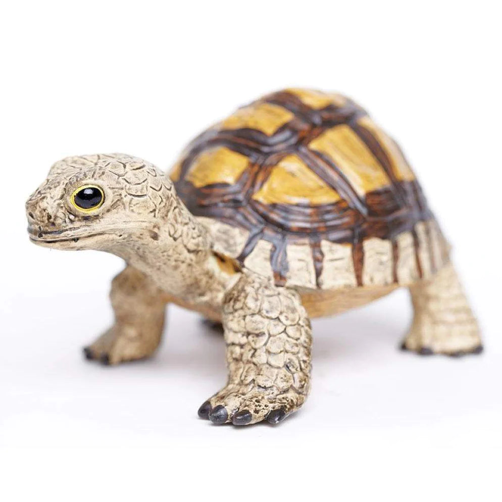 Safari Ltd. Collectible Tortoise Toy
