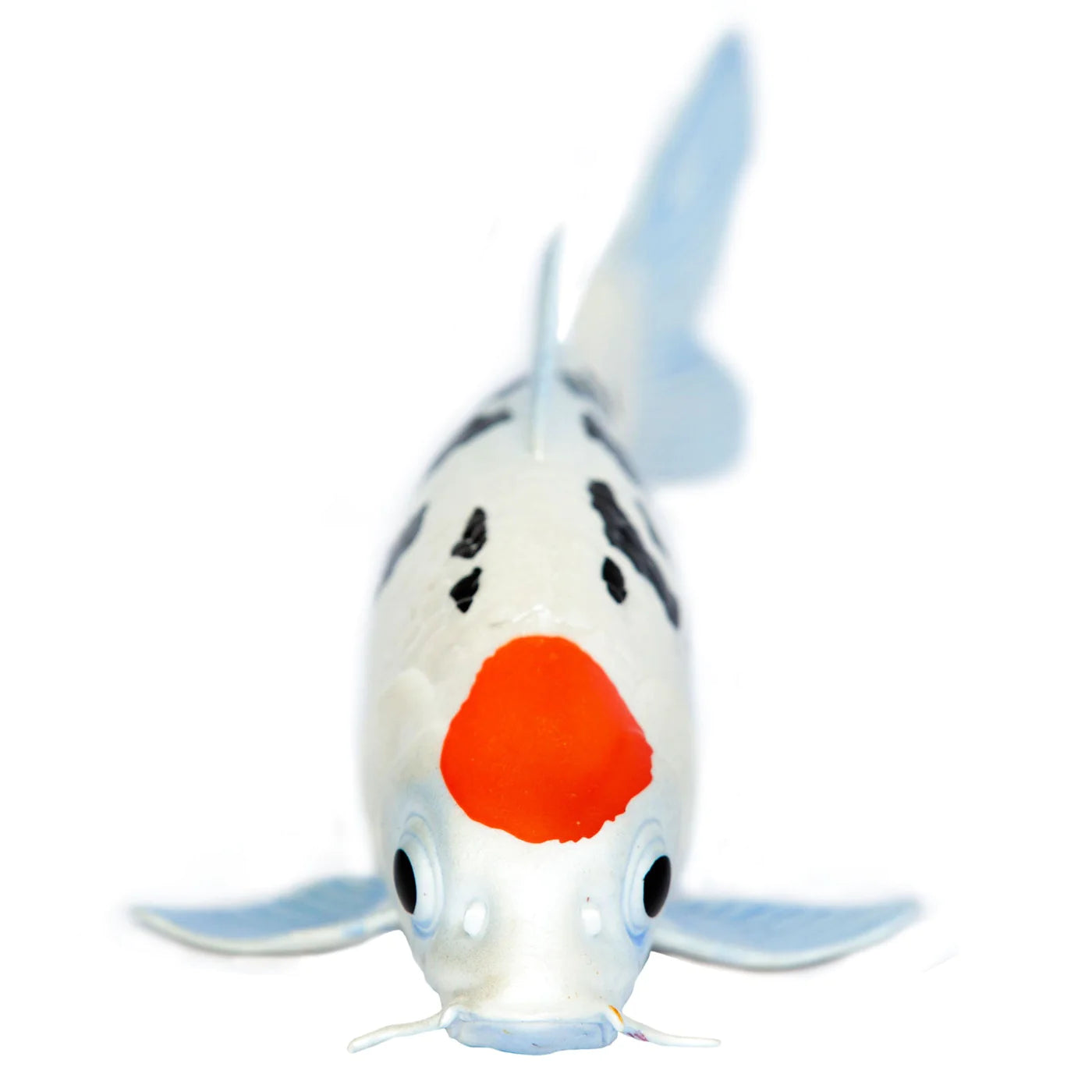 Safari Ltd. Adorable Tancho Style Koi Fish Toy