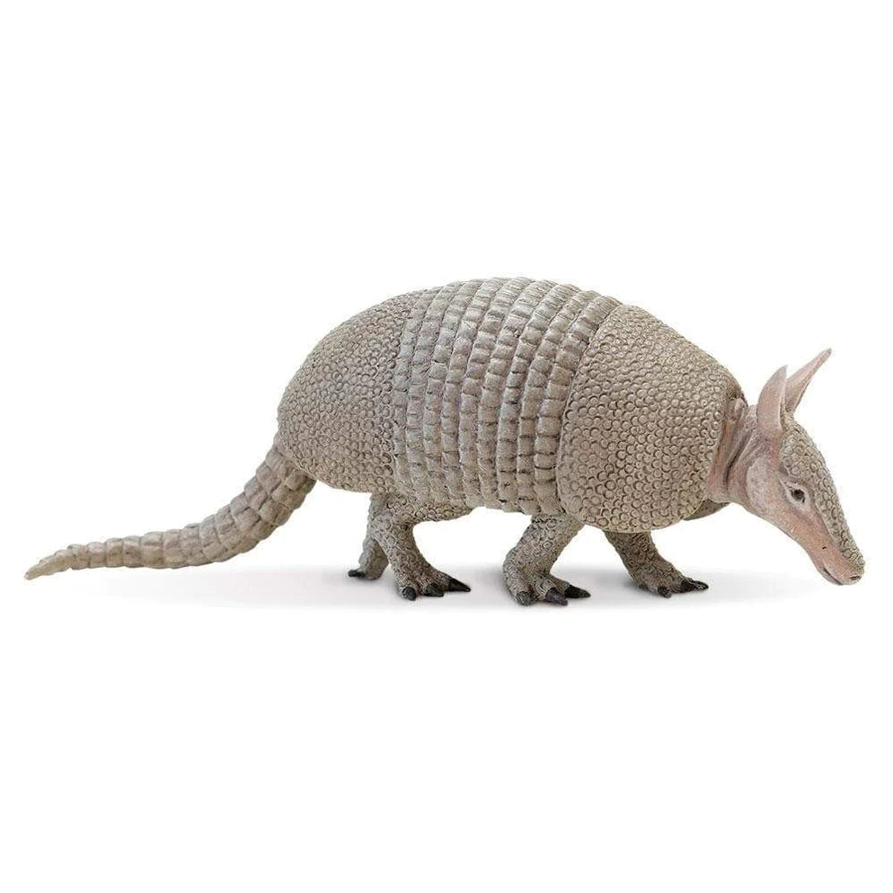 Safari Ltd. Hand - Painted Armadillo Toy from Incredible Creatures® Collection
