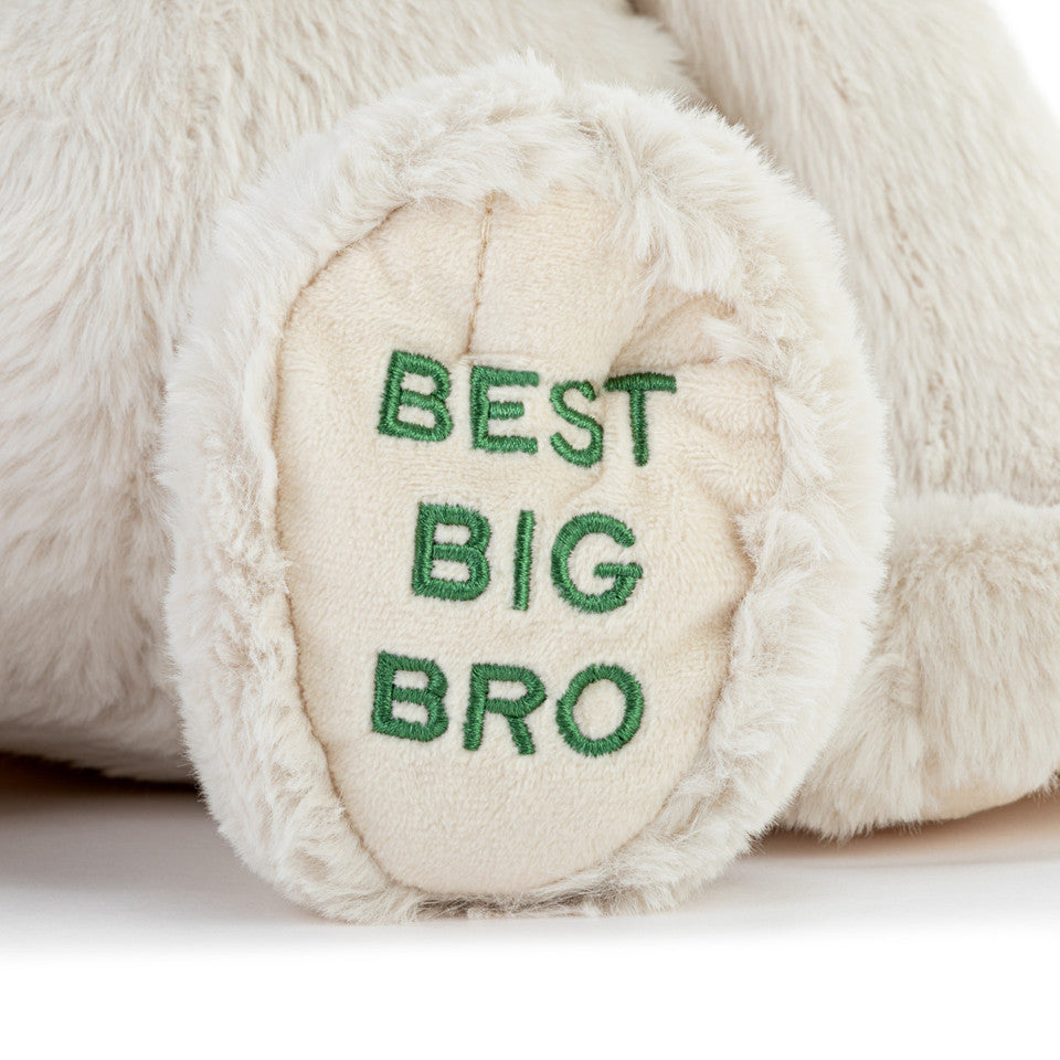 Hot Sale! 16 - inch Demdaco Plush Dog for Best Big Brothers