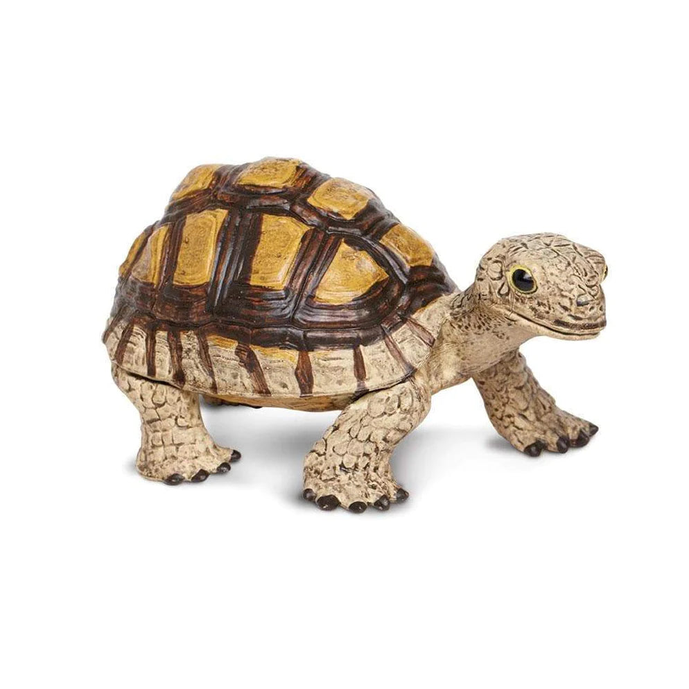 Safari Ltd. Collectible Tortoise Toy