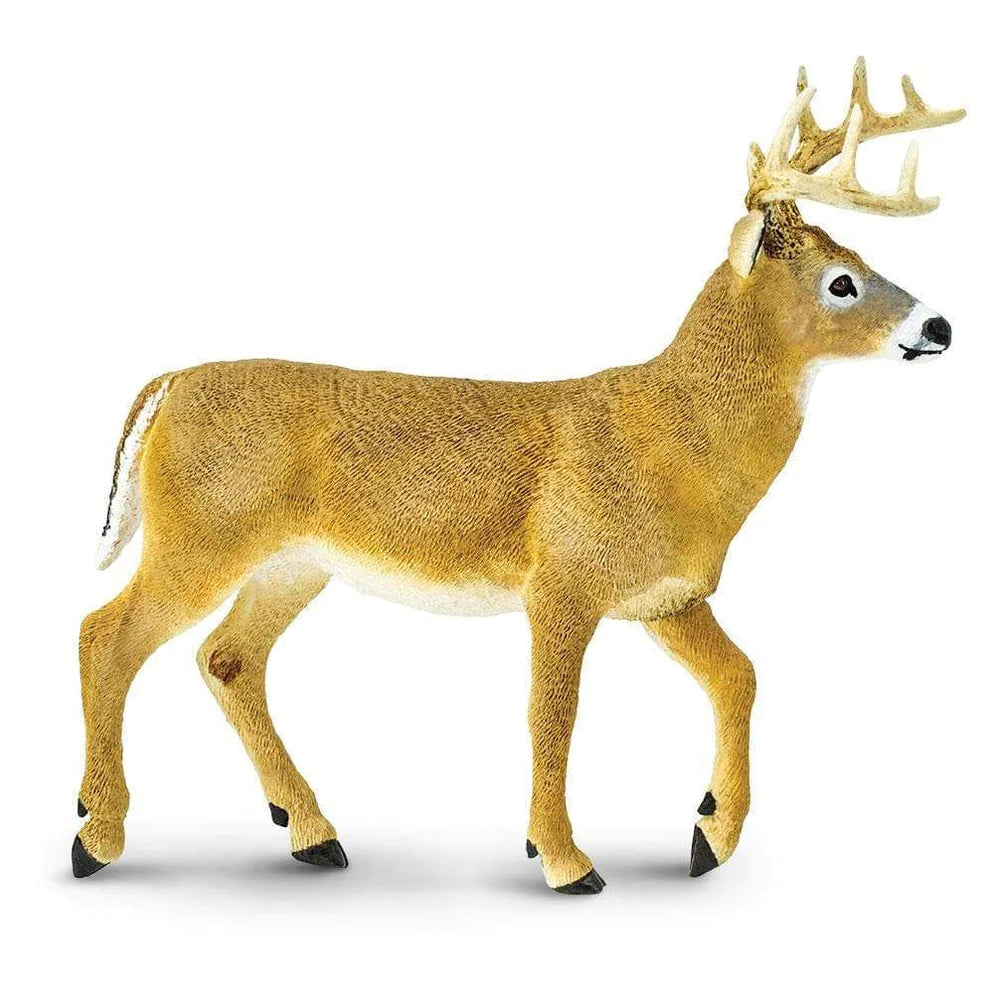 Safari Ltd. Realistic Whitetail Buck Toy for Nature Lovers