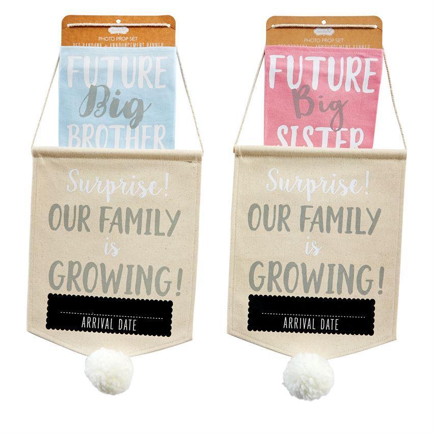 Blue Mud Pie Canvas Pet Photo Prop Set for 'Our Family is Growing' Announcement