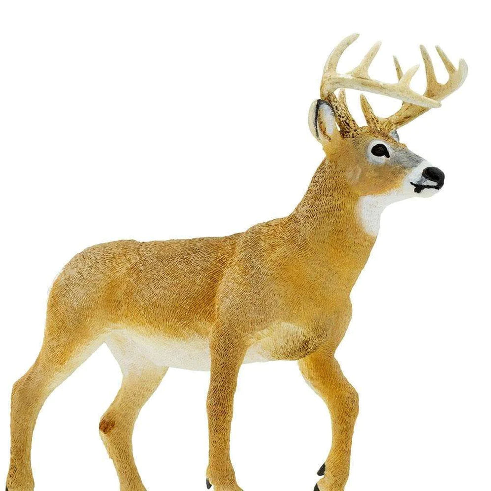 Safari Ltd. Realistic Whitetail Buck Toy for Nature Lovers