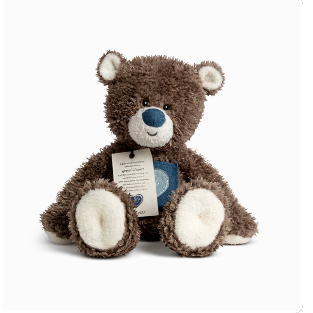 Demdaco 16-Inch Fuzzy Grateful Heart Bear - Ideal for Teaching Kids Gratitude