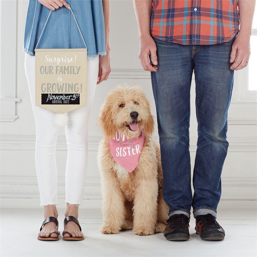 Blue Mud Pie Canvas Pet Photo Prop Set for 'Our Family is Growing' Announcement