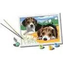 Ravensburger CreArt High - Quality Jack Russel Paint - by - Numbers Kit