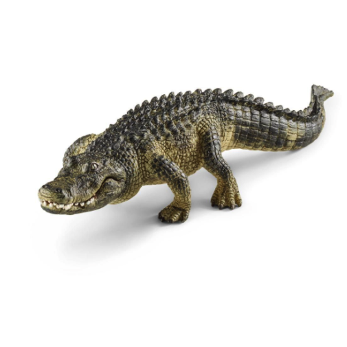 Schleich Alligator - Realistic Toy for Kids