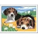 Ravensburger CreArt High - Quality Jack Russel Paint - by - Numbers Kit