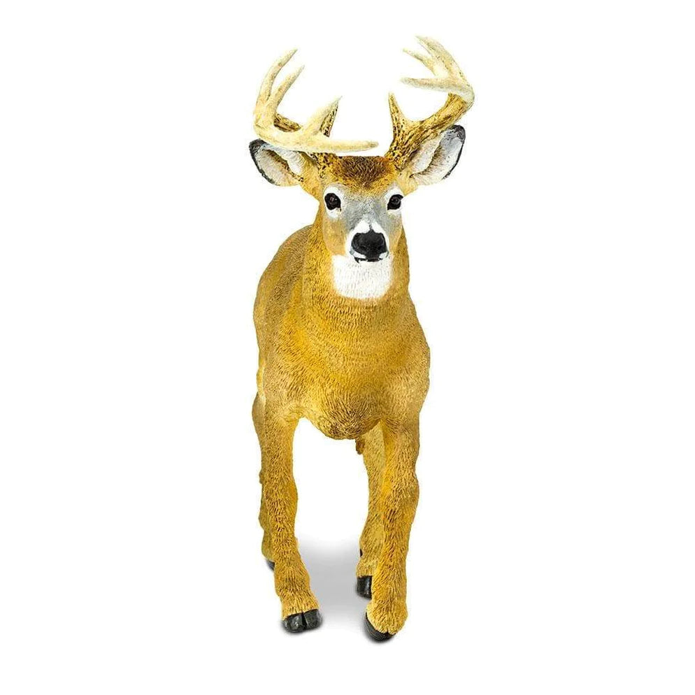 Safari Ltd. Realistic Whitetail Buck Toy for Nature Lovers