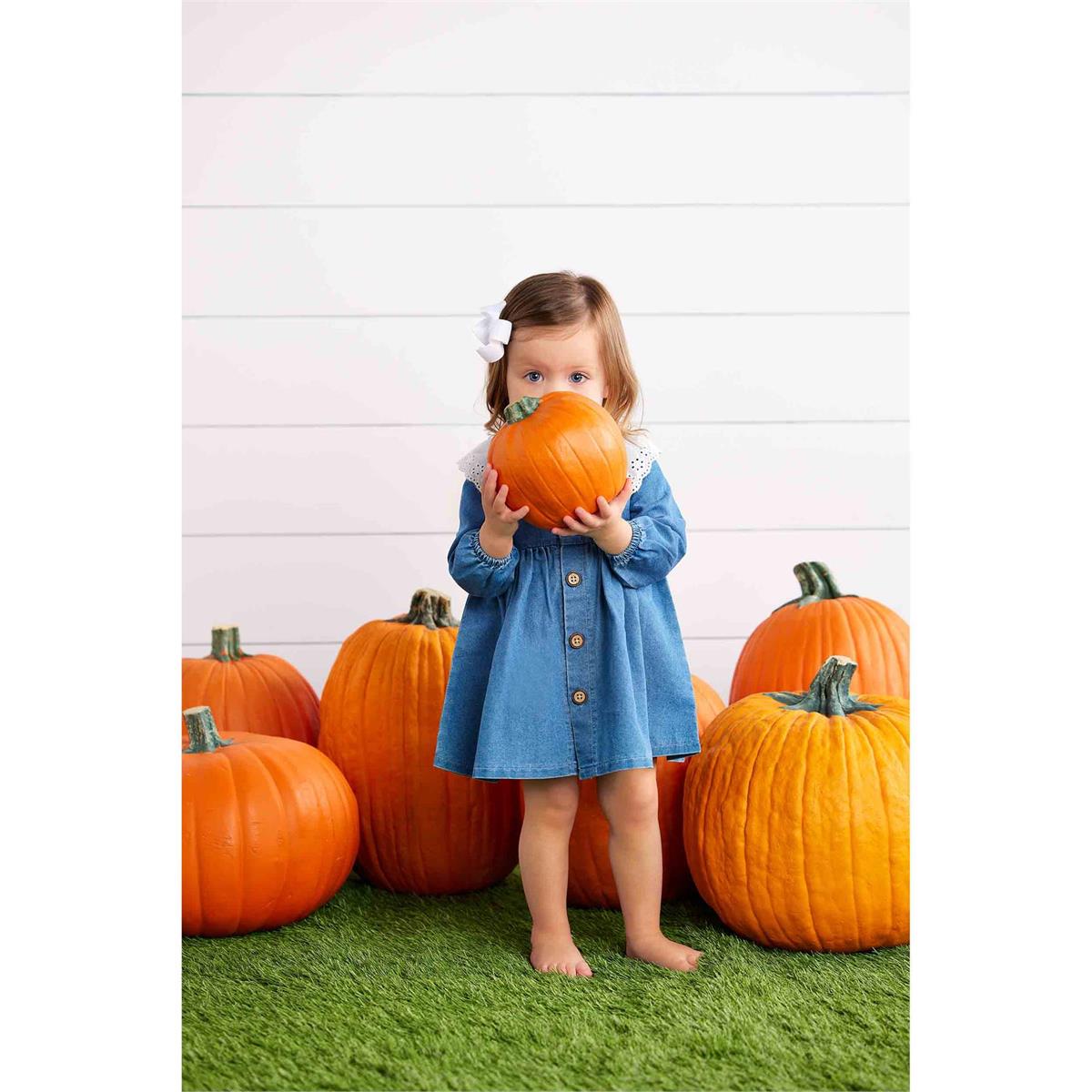 Hot! Mud Pie Denim Dress with Eyelet Collar