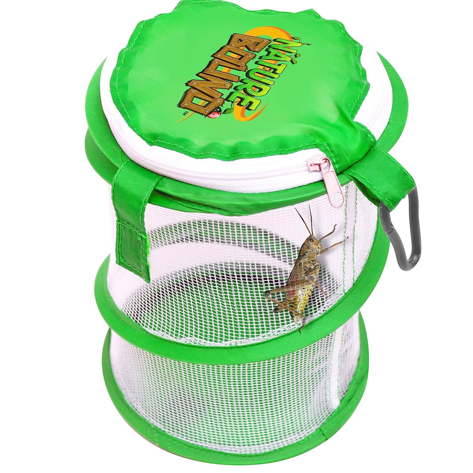 Nature Bound Pop - Up Bug & Critter Catcher by Thin Air Brands