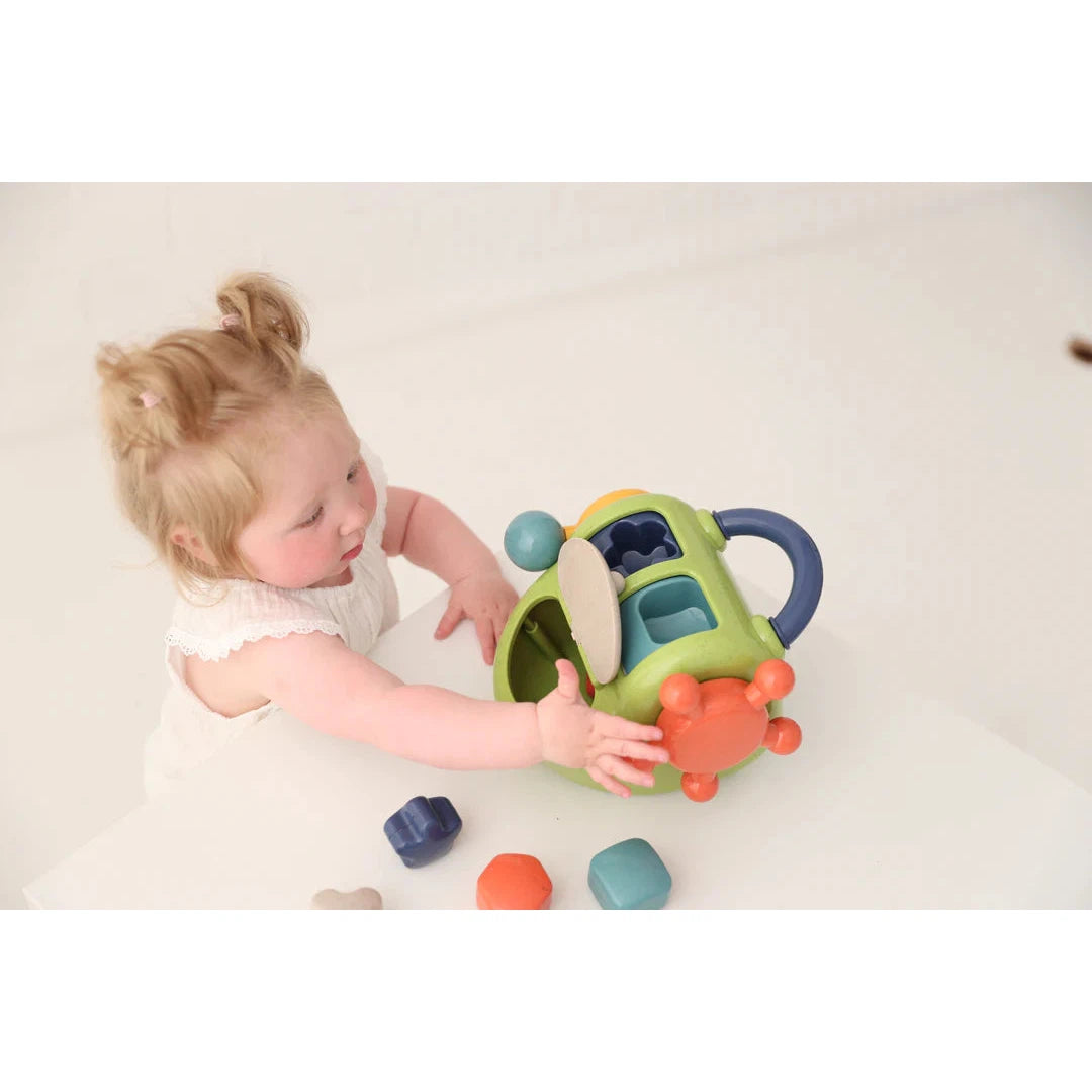 Hot Sale! TOLO Activity Shape Sorter Toy for Color Matching and Shape Sorting
