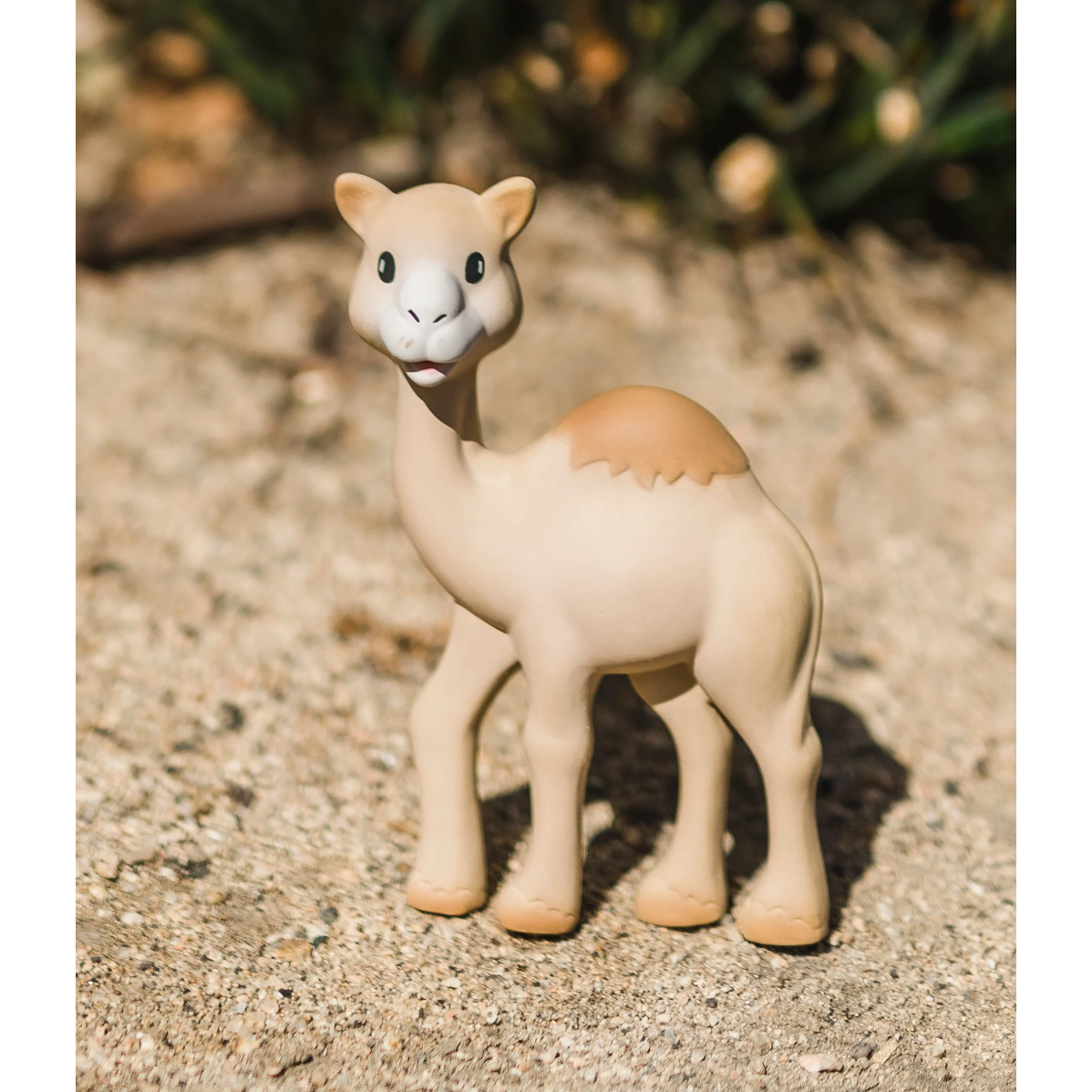 100% Natural Rubber Camel Toy - Al'Thin for Baby Entertainment
